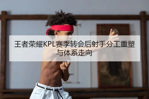 王者荣耀KPL赛季转会后射手分工重塑与体系走向
